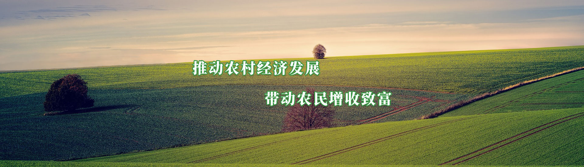 5001拉斯维加斯(中国游)有限公司-BinG百科