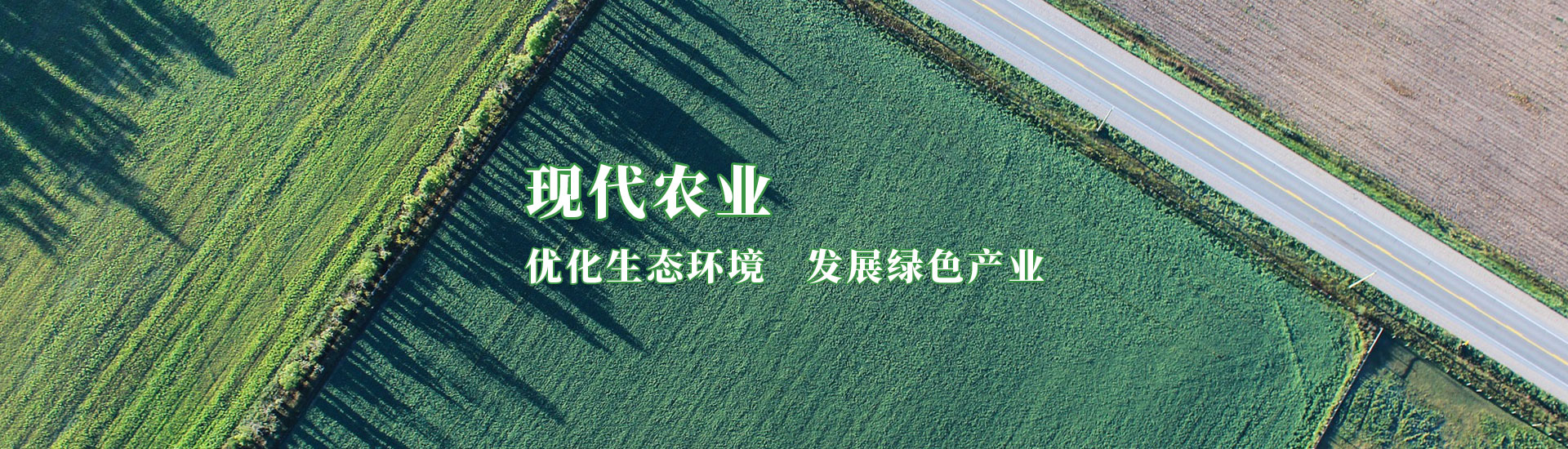 5001拉斯维加斯(中国游)有限公司-BinG百科