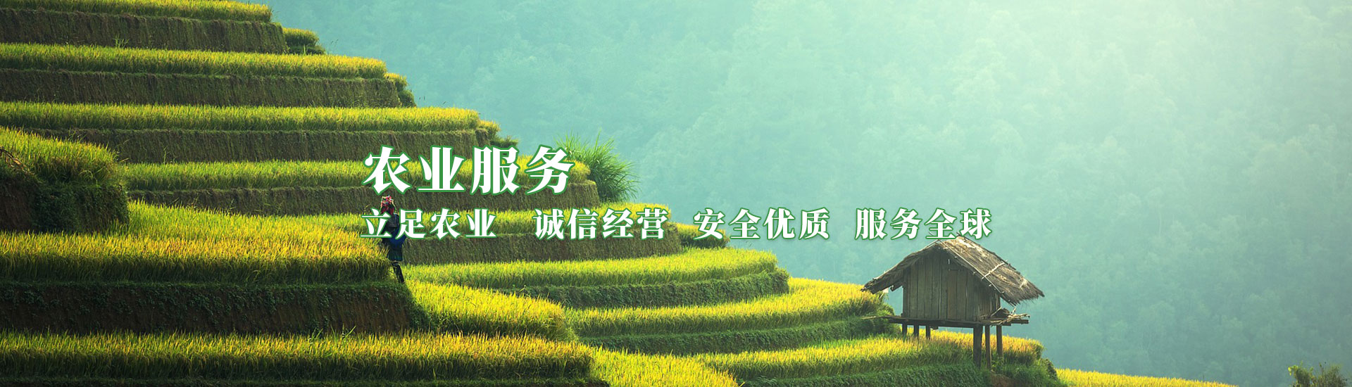 5001拉斯维加斯(中国游)有限公司-BinG百科